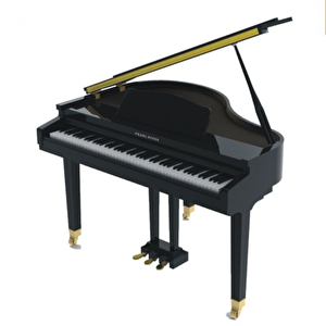 Pearl River GP1100 Baby Grand Dijital Piyano (Siyah)
