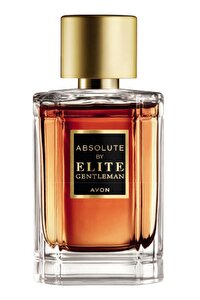 Avon Perceive ve Absolute By Elite Gentleman Erkek Parfüm Paketi