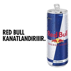 Red Bull Enerji İçeceği 250 mL - ENERJİ İÇECEĞİ
