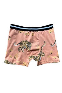 Almila (4 lü) Kids Pamuk Elastan Desenli Erkek Çocuk Boxer 2072