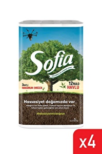 Sofia Kağıt Havlu 3 Katlı 12'li 4'lü Paket