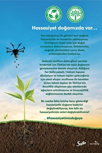 Sofia Kağıt Havlu 3 Katlı 12'li 4'lü Paket