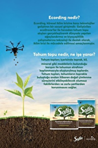 Sofia Kağıt Havlu 3 Katlı 12'li 4'lü Paket