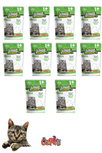 Sokak Havyanları İçin Yaş Mama 100 Gr x 10 Pk Tavuk Etli