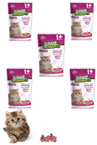 Biftekli Kısırlaştırılmış Kedi Maması 100 Gr X 5 Pk
