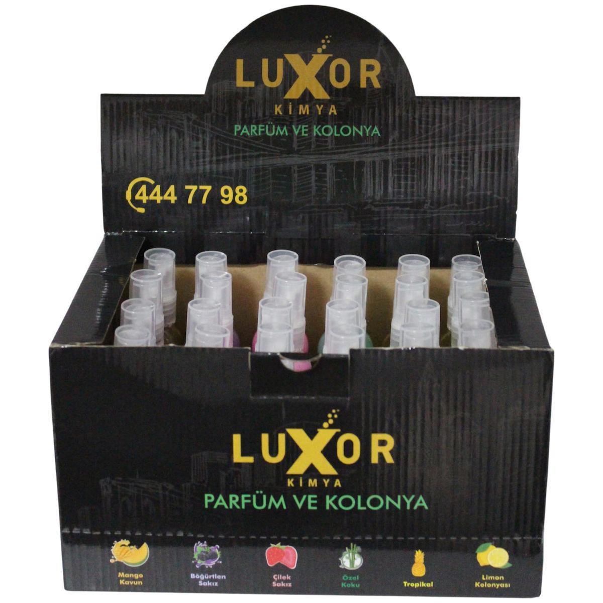 Luxor Kimya 12 Adet 200 Ml Ev & Oto Koku Seti Özel Kutulu Fiyatları Ve ...