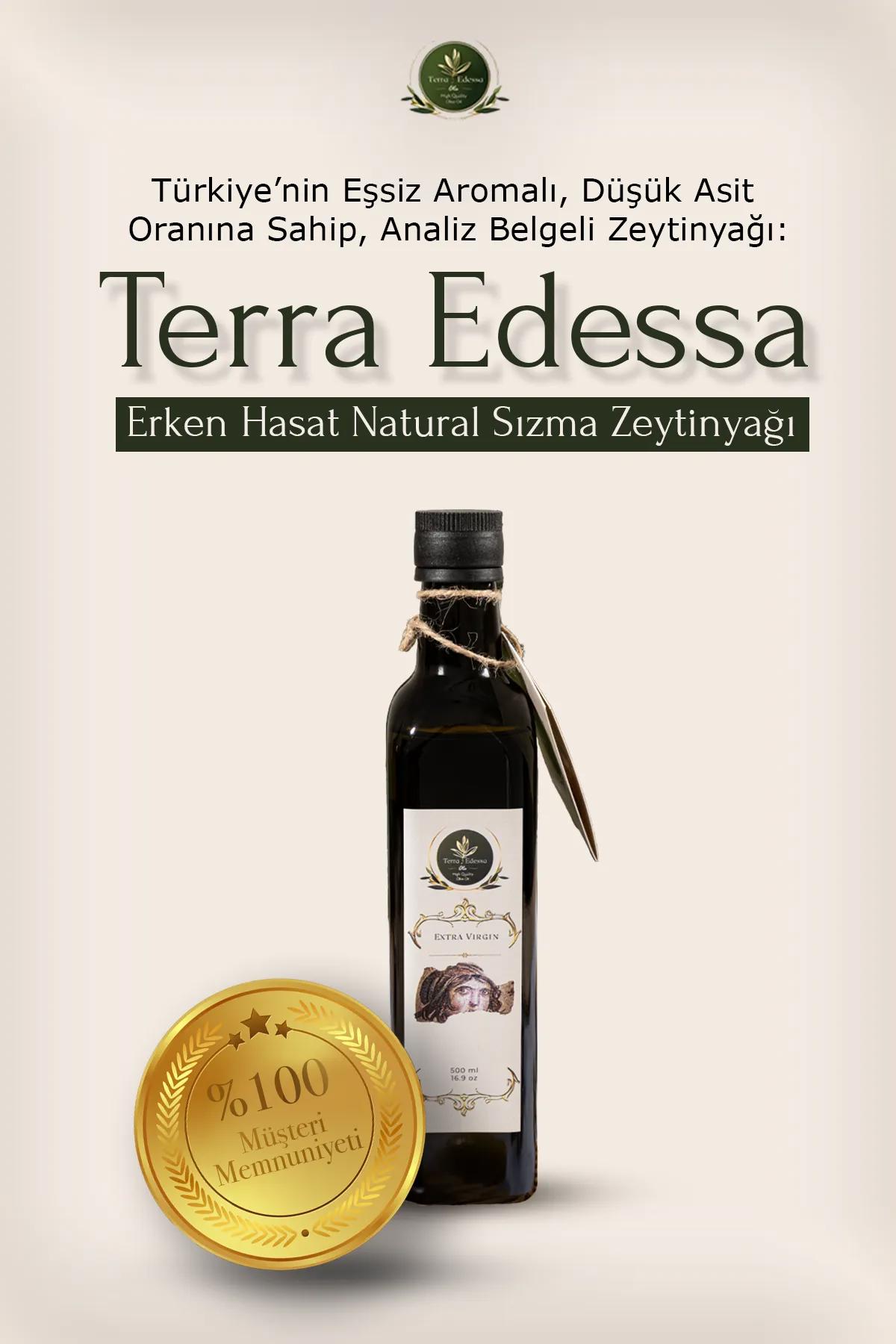 Terra Edessa Erken Hasat Soğuk Sıkım Naturel Sızma Zeytinyağı - Türkiye'nin eşsiz aromalı, düşük asit oranına sahip, analiz belgeli ve %100 müşteri memnuniyeti garantili sızma zeytinyağı.
