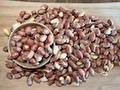 FoodnuT
