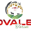 Ovale Tarım Ticaret