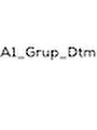 A1 Grup Dtm