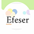 EFESER E TİCARET
