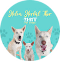 2H1T PET STORE
