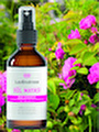 lavendrose