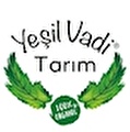 Yesilvadi