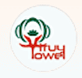 TRUYTOWEL