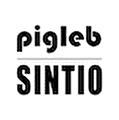 SİNTİO