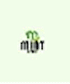 Green Mint