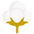 cotonhause