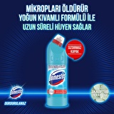 Domestos Okaliptus Ferahlığı Çamaşır Suyu 750 ml