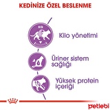 Royal Canin Sterilised Kısırlaştırılmış Kedi Maması 4 kg