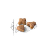 Royal Canin Sensible 33 Kedi Maması 15 Kg