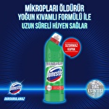 Domestos Maksimum Hijyen Dağ Esintisi Konsantre Jel Çamaşır Suyu 750 ml