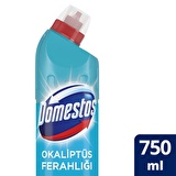Domestos Okaliptus Ferahlığı Çamaşır Suyu 750 ml