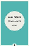 Anlam Arayışı