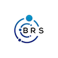 B.r.s Elektronik