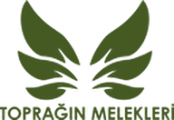 Toprağın Melekleri