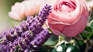 PBnaturel