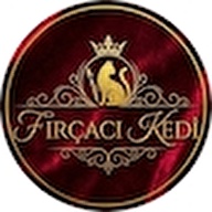 Fırçacı Kedi Tasarım