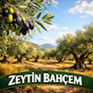 ZEYTİN BAHÇEM