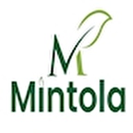 Mintola Store