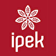 İPEK BULGUR