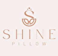 Shine Pillow