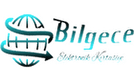bilgece