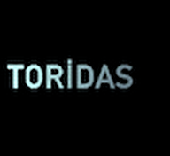 Toridas