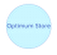 Optimum Store