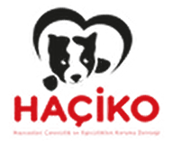 Haçiko