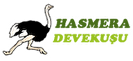 Hasmera Devekuşu