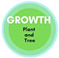 GROWTHPLANTTREE