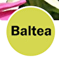 Baltea