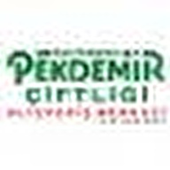 Pekdemir Süpermarket