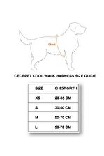 CecePet Cool Walk Harness Kırmızı Köpek Göğüs Tasması