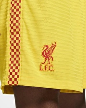 Liverpool FC 2021/22 Maç Üçüncü Nike Dri-FIT ADV Erkek Futbol Şortu DD2774-703