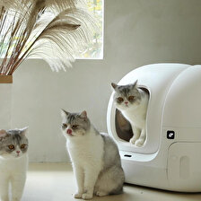 Petkit Pura Max Beyaz Akıllı Kedi Tuvaleti