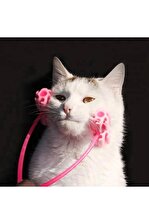 Kedi Fırça Kedi Masaj Aleti Plastik kumu mama