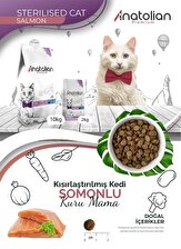Anatolian Premium Sterilised Salmon Somonlu Kısırlaştırılmış Kedi Maması 2 Kg