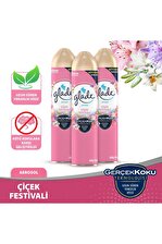 Aerosol Oda Kokusu Çiçek Festivali 3 'lü Set
